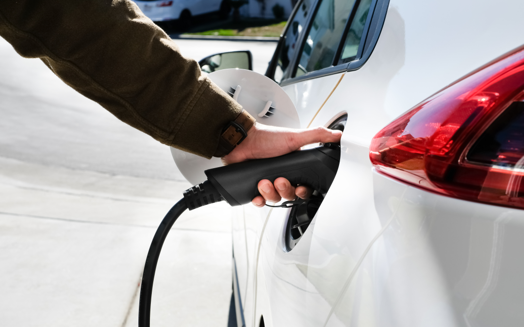 Hydrogen and Lithium: Car Companies Align on Net Zero